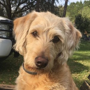 Meet your Posher, Blake